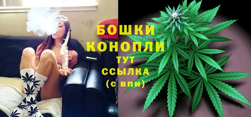 Каннабис Bruce Banner  это состав  Губаха  магазин продажи  